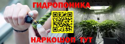 мяу мяу мука Кунгур