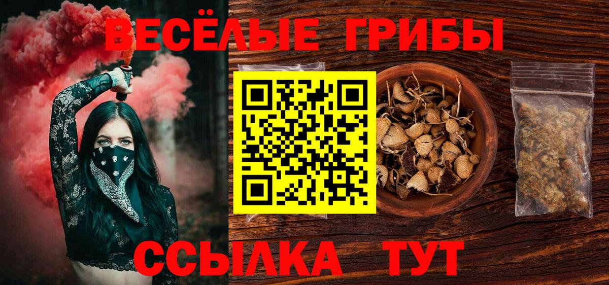 Псилоцибиновые грибы мухоморы  Вход с VPN  Камышин 