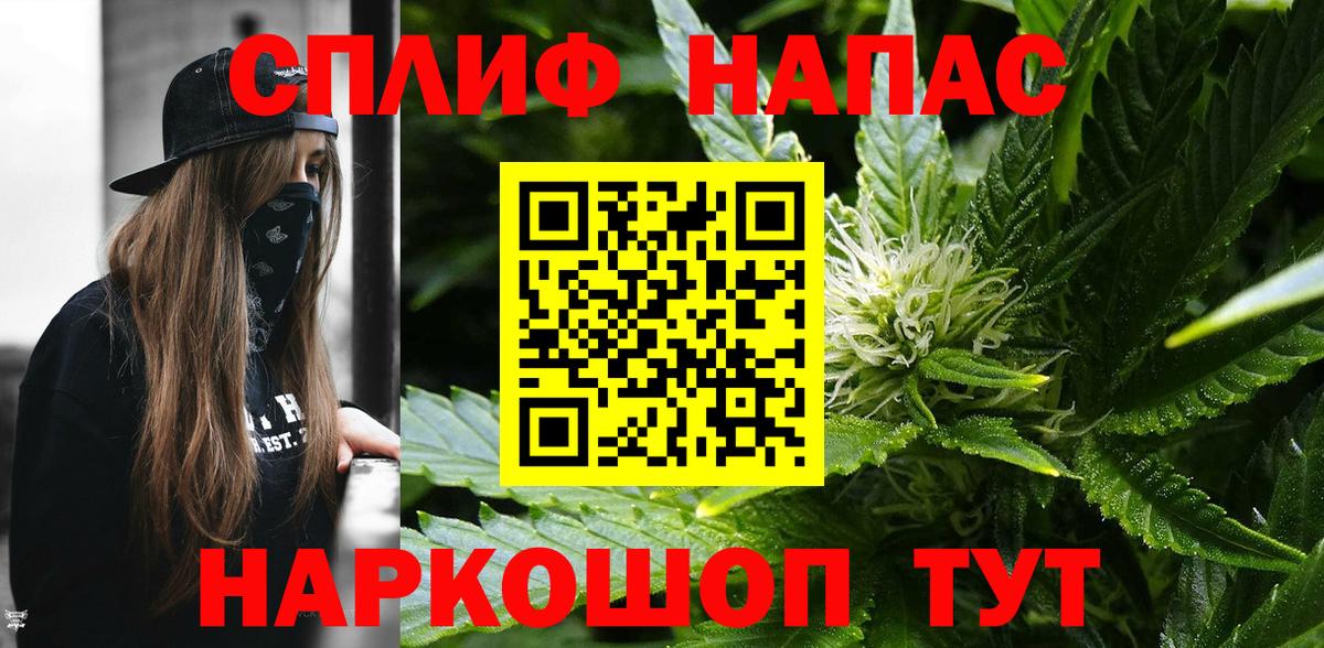 Канабис Bruce Banner  Каннабис гибрид  Канабис ГИДРОПОН  Камышин  Вход с VPN 